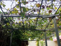 -伊隆斋(什刹海店)