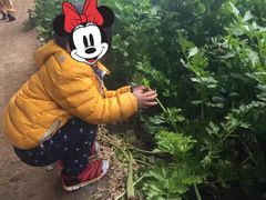 -杨柳青园艺科技博览园