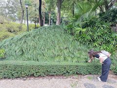 -九龙寨城公园