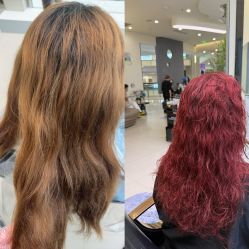 -GANO HAIR 