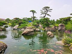 -罗红摄影艺术馆