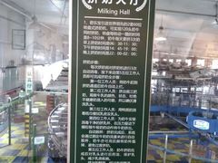 -君乐宝优致牧场