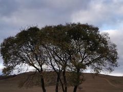 -塞罕坝国家级自然保护区