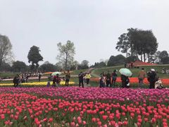 -保利石象湖景区