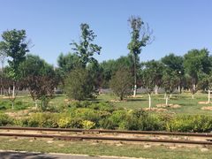 -永定河休闲森林公园