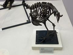 -国家自然博物馆