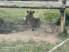 -鄂尔多斯野生动物园
