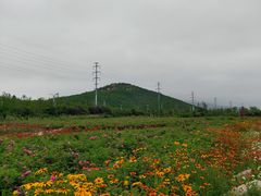 -西海岸生态观光园
