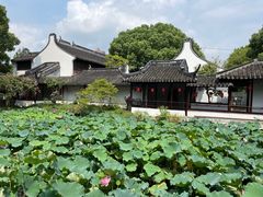 -上海醉白池公园