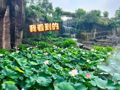 -广州莲花山旅游区