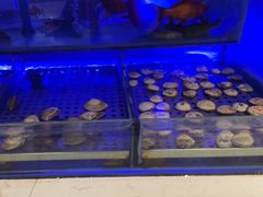 -SEA西雅图海鲜自助餐厅(海乐世界店)