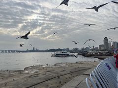 -星海广场