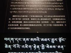 -青海藏文化博物院