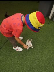 -萌宠亲子动物乐园(槐房万达店)