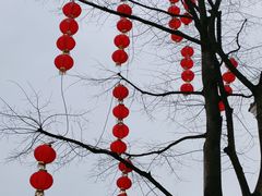 -洋湖国家湿地公园