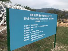 -亚龙湾国际玫瑰谷