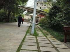 -新江湾城公园