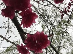 -洨河生态公园
