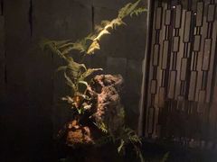 -泰之源足浴会所(玉环店)