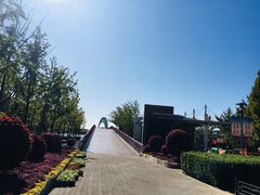 -大兴滨河森林公园