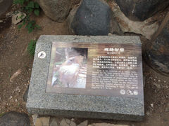 iphone_upload_pic-泰山红门国际青年旅舍
