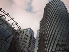 -春满园·早茶·粤菜·宴会(前海店)
