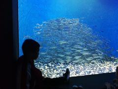 -成都浩海立方海洋公园