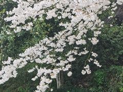 -杭州少年儿童公园