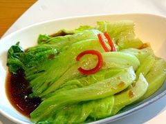 -点都德·毕德寮