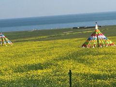 -青海湖国家重点风景名胜区