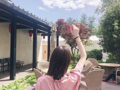 -禧宴Joyous Restaurant(禧园店)