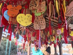 -兴芮温泉度假区