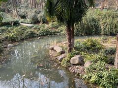 -苏州河梦清园环保主题公园