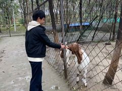 -草根堂农场