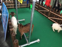 -万达广场(万州店)