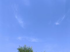 -香山公园