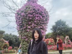 -东莞植物园