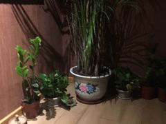 -莲泰式·中式·沐足·精油SPA采耳(天河店)