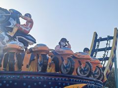 -海合安武汉极地海洋公园