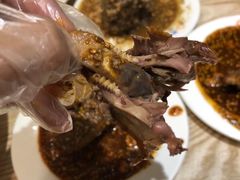 -老号尤兔头(幸福店)