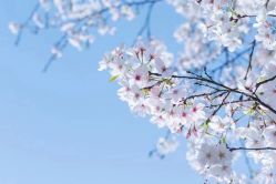 -Oasis Beauty水磨坊科技美肤中心
