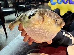 -永安鱼庄·镇江菜(东吴路店)