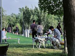 -爪吧宠物乐园 (温榆河示范区店)