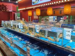 -张家卫·阳江菜·小海鲜(肥婆湾桥店)