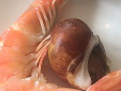 -威珀斯酒店·珀萃美食餐厅 | 海鲜刺身·现烤生蚝·特色烤肉