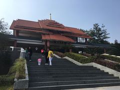 -大屏嶂森林公园