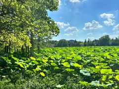 -云龙湖旅游景区