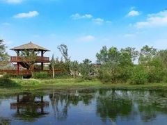 -长兴太湖图影湿地文化园