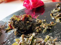-向外鱼乐·土菜·虹鳟鱼
