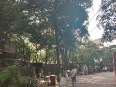 -威远炮台
